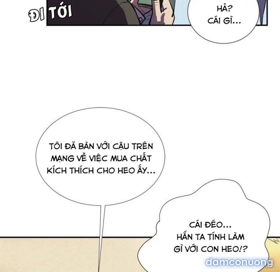Đào Tạo Vợ 