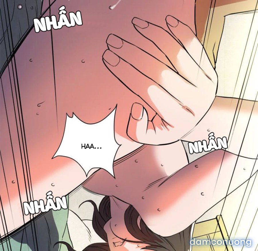 Đào Tạo Vợ 