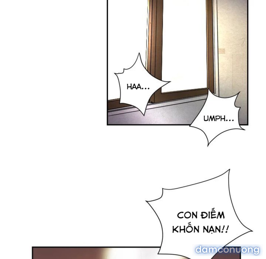 Đào Tạo Vợ 