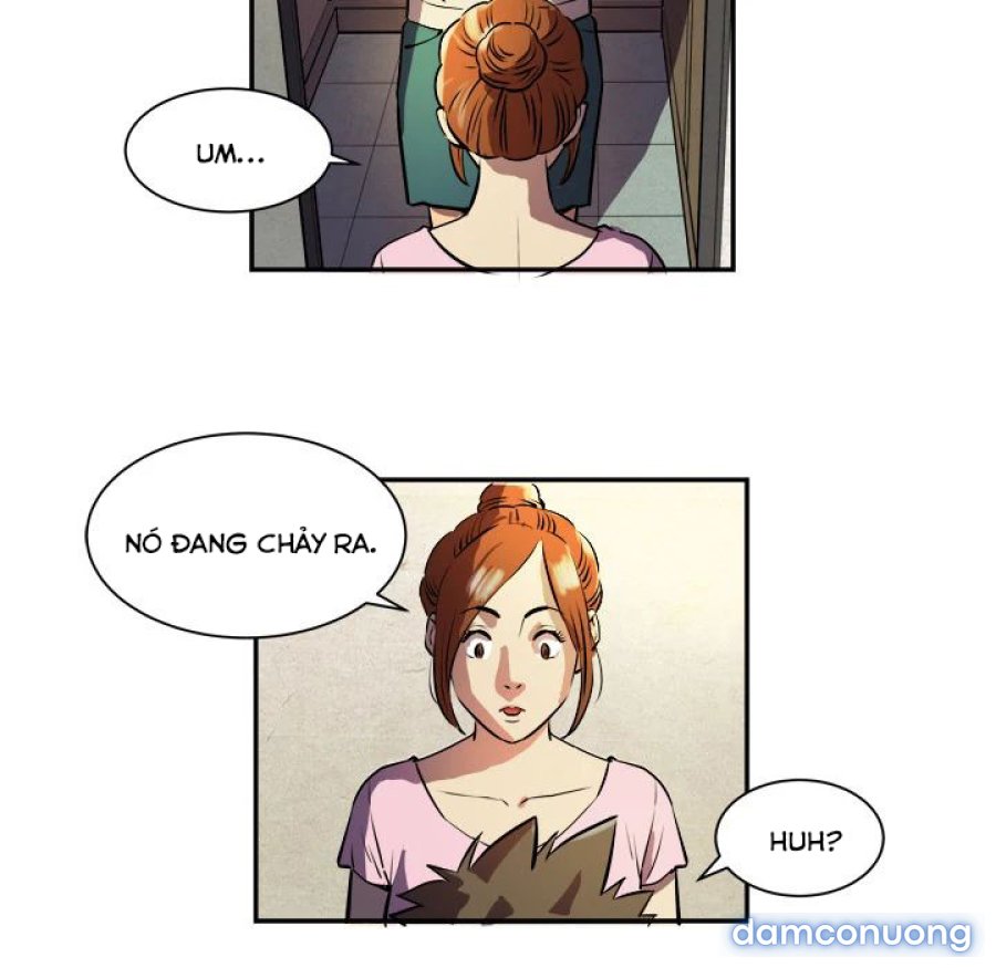 Đào Tạo Vợ 