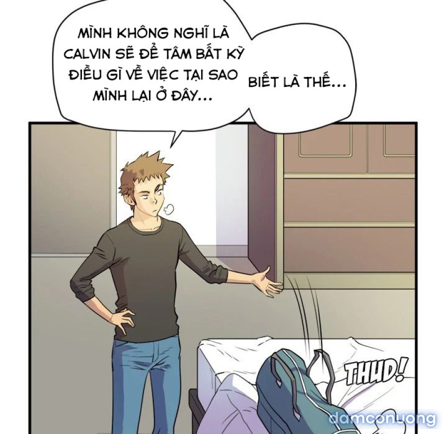 Đào Tạo Vợ 