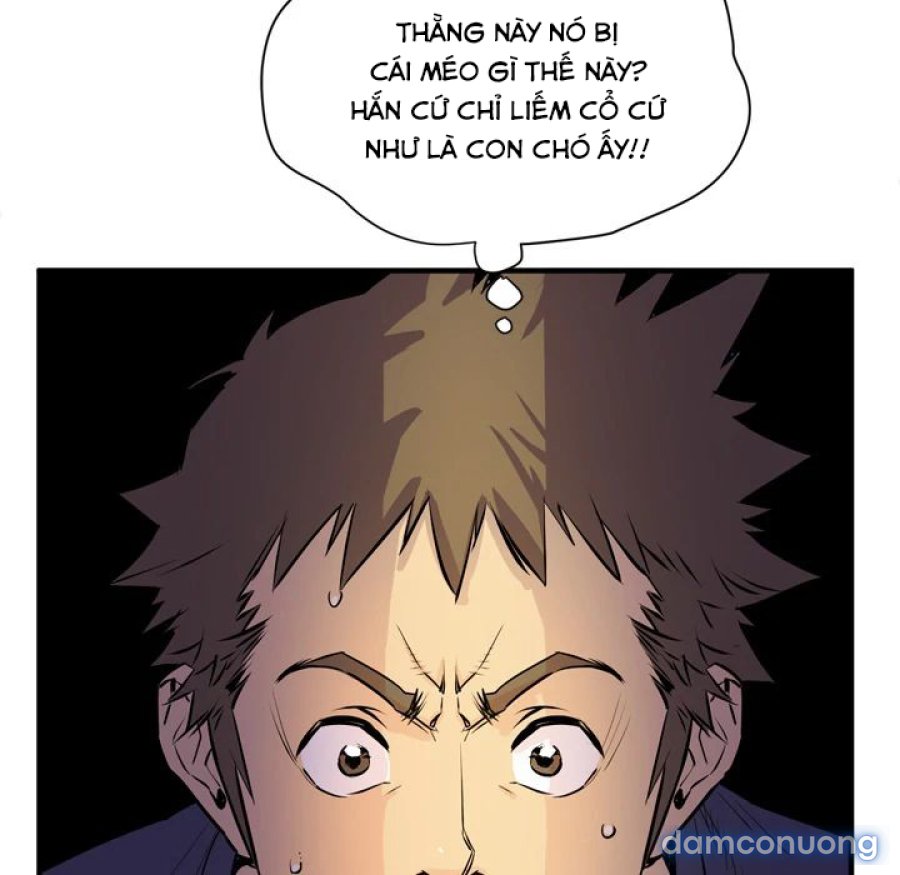Đào Tạo Vợ 