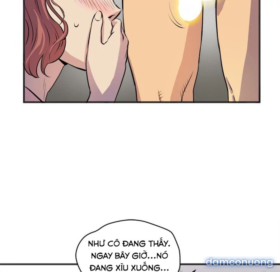 Đào Tạo Vợ 