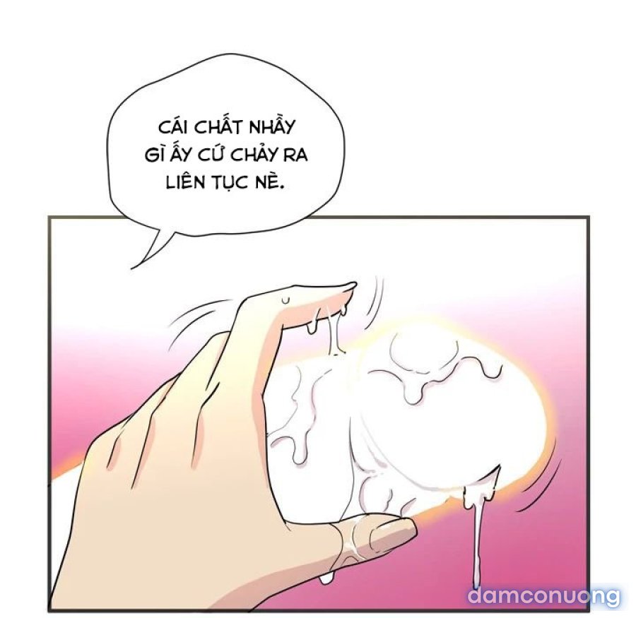 Đào Tạo Vợ 
