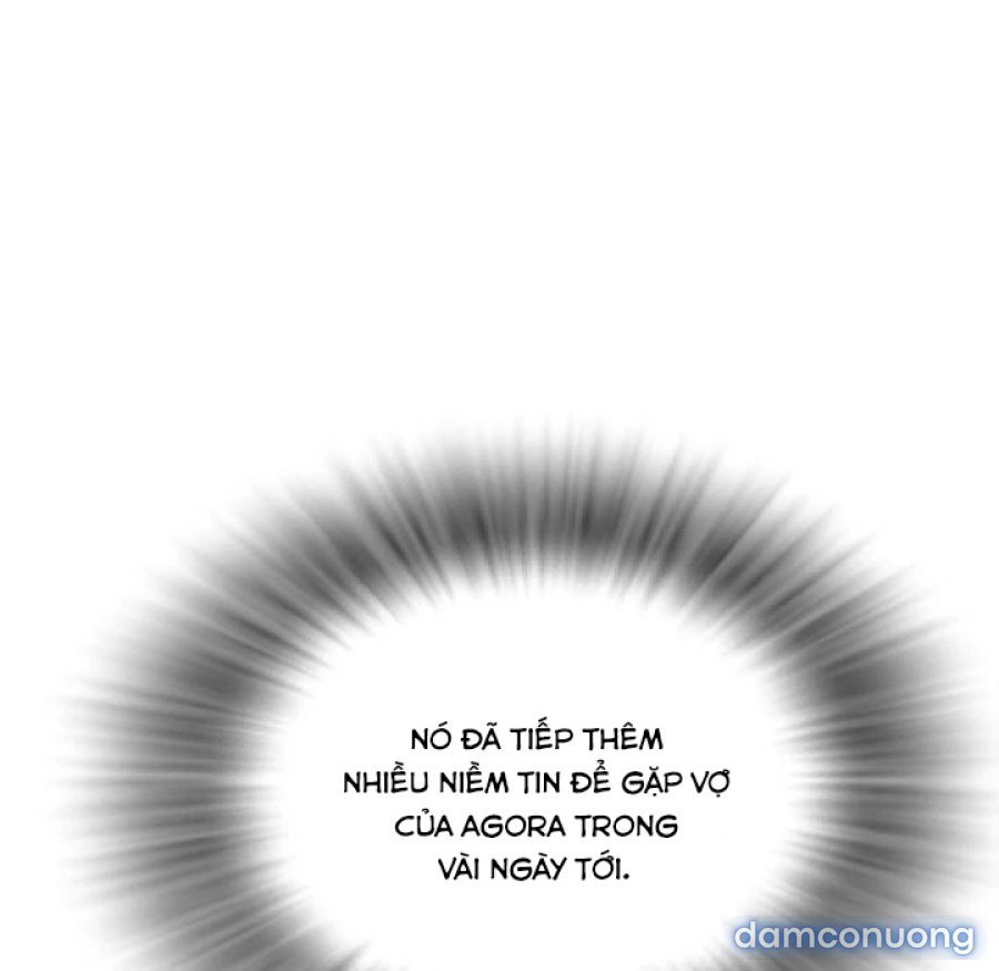 Đào Tạo Vợ 