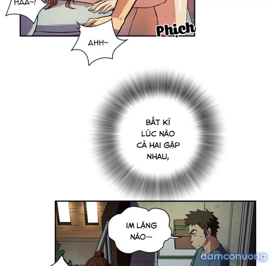 Đào Tạo Vợ 