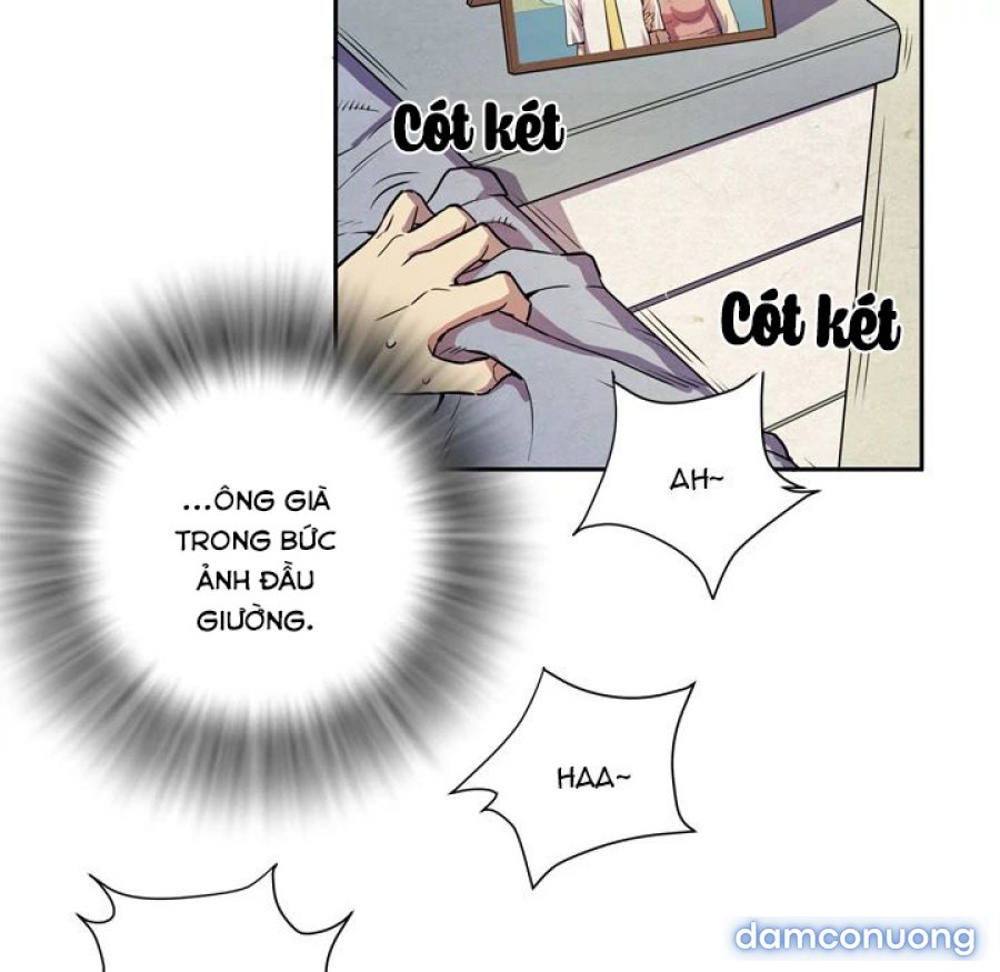 Đào Tạo Vợ 