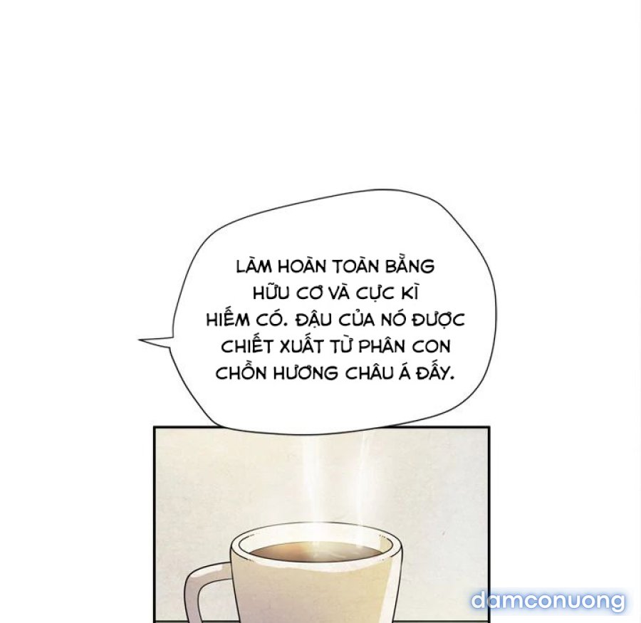 Đào Tạo Vợ 
