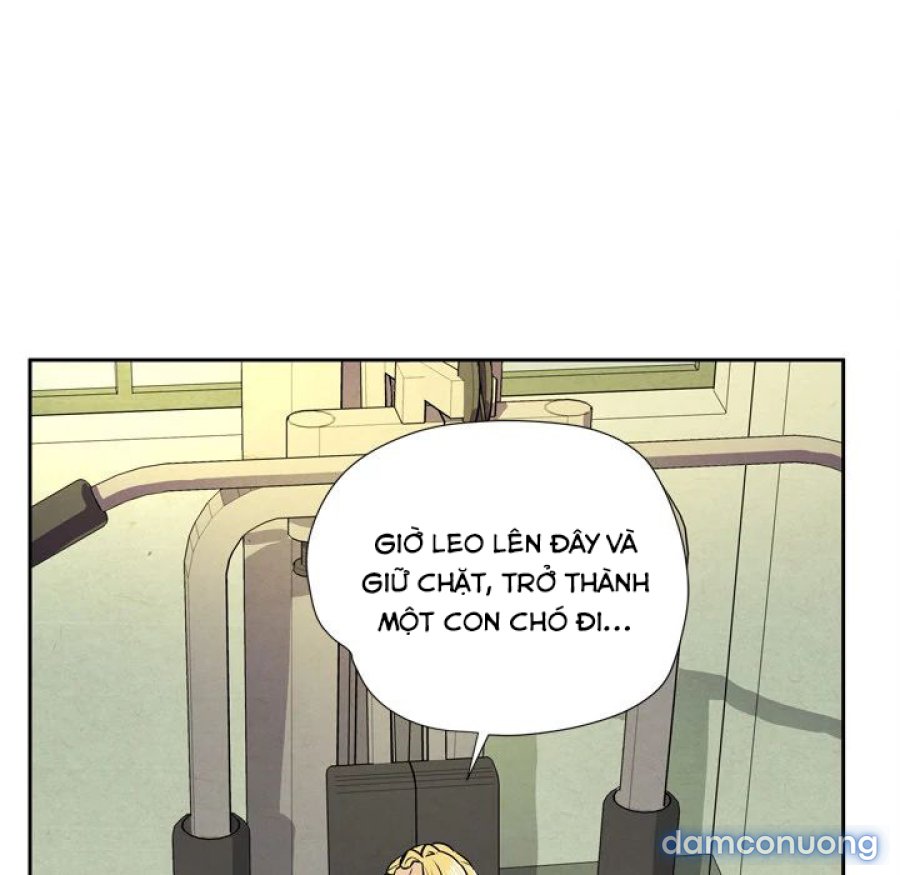 Đào Tạo Vợ 