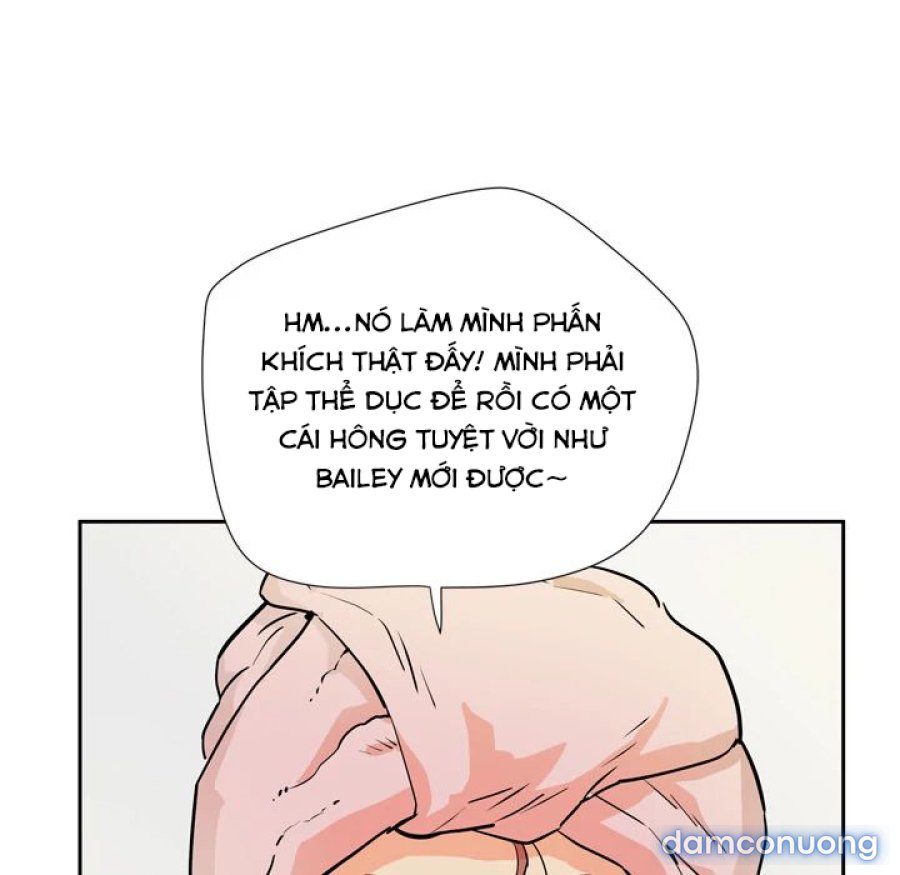 Đào Tạo Vợ 