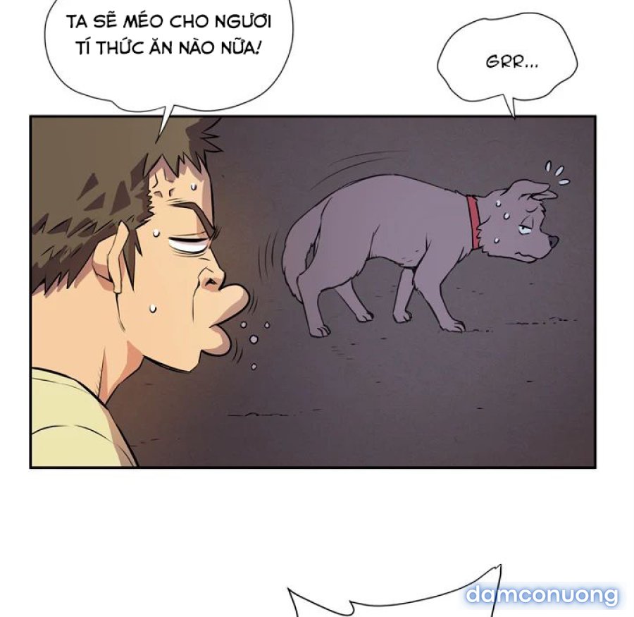 Đào Tạo Vợ 