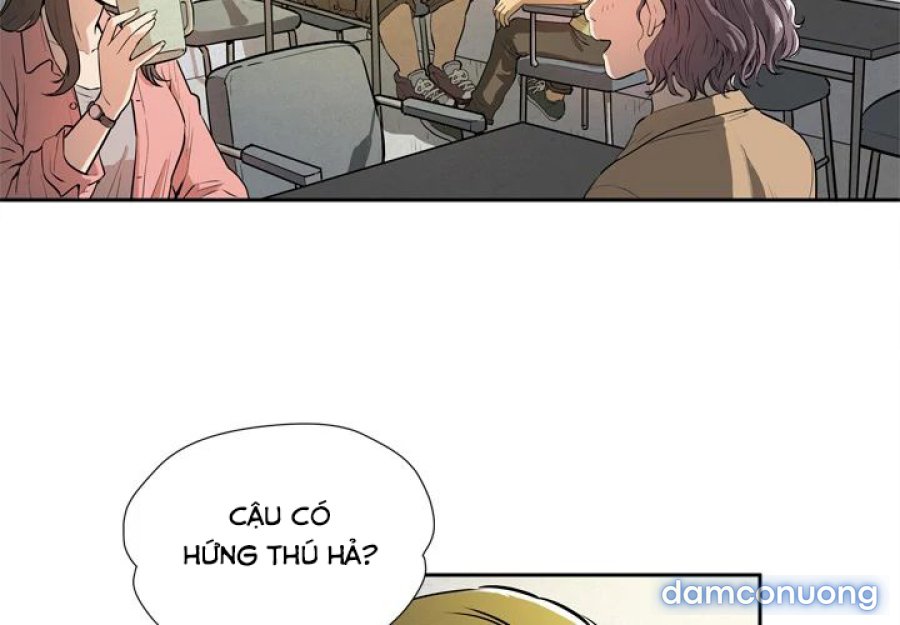 Đào Tạo Vợ 