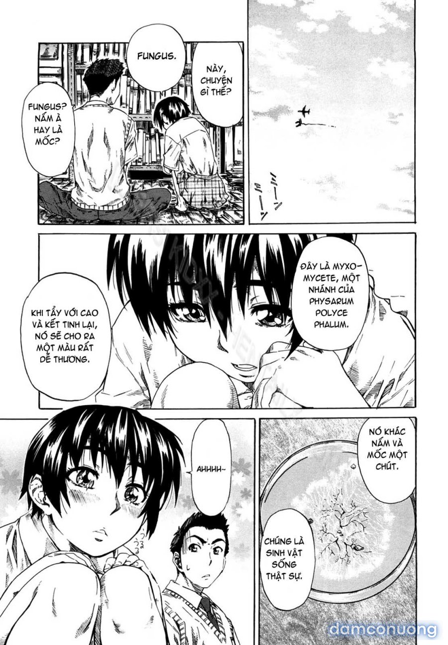 Kanojo ga Kimi o Suki ni Natta Wake 