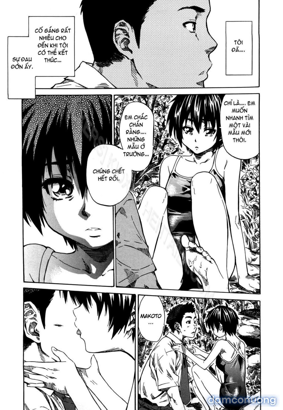 Kanojo ga Kimi o Suki ni Natta Wake 