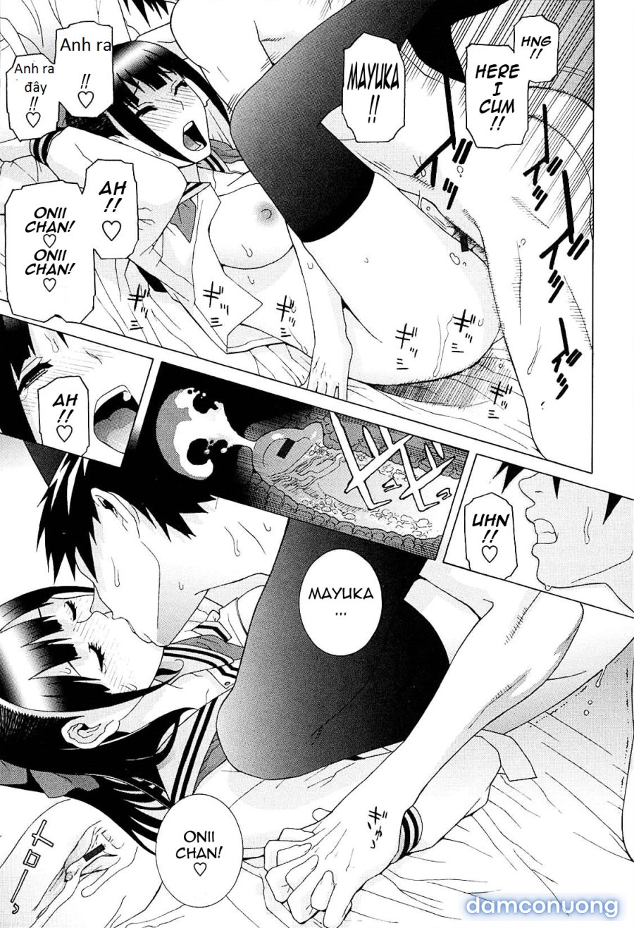 Imouto Netsuai Ryouiki 