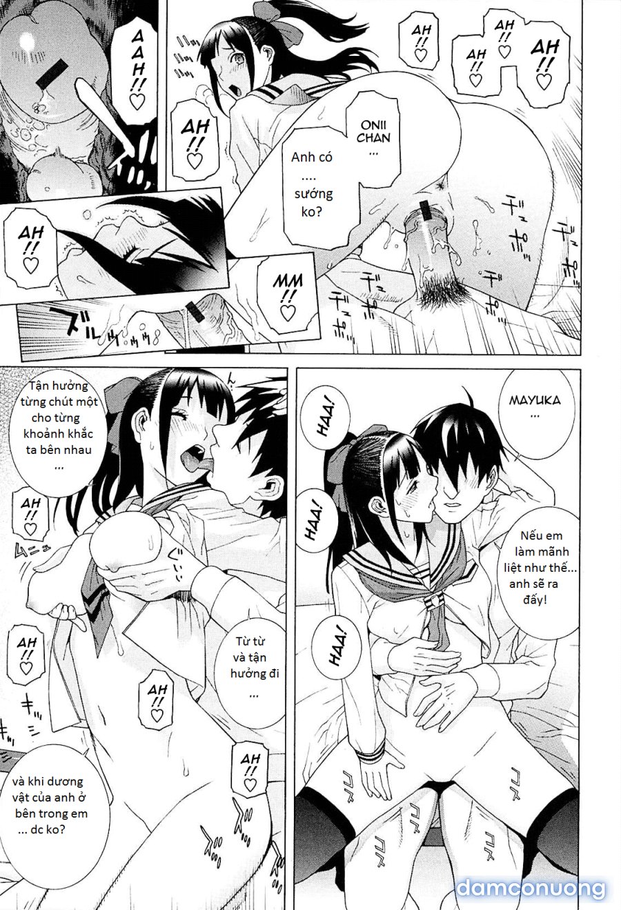 Imouto Netsuai Ryouiki 