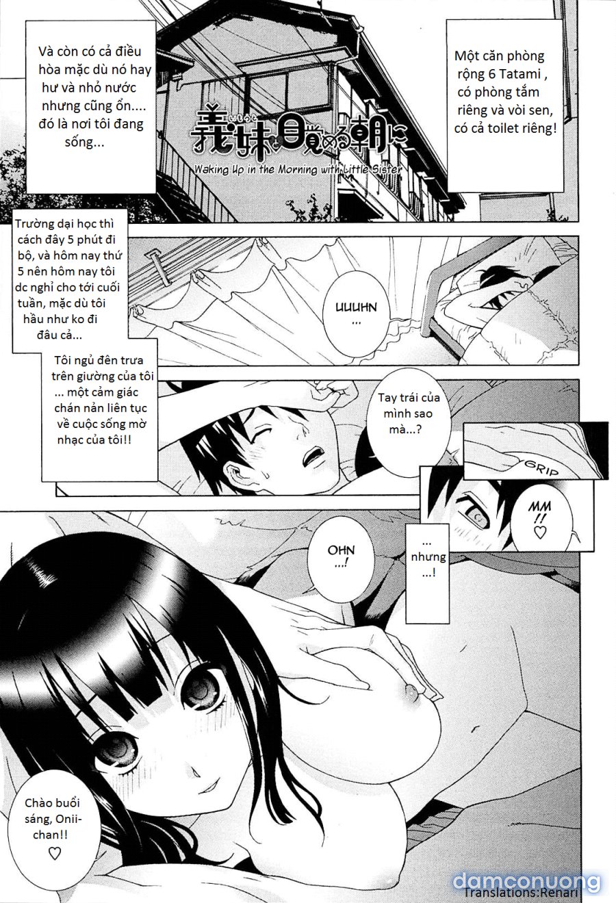 Imouto Netsuai Ryouiki 
