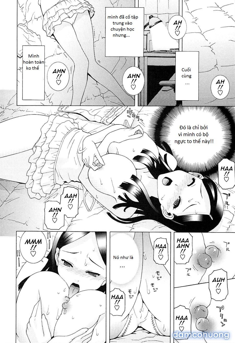 Imouto Netsuai Ryouiki 