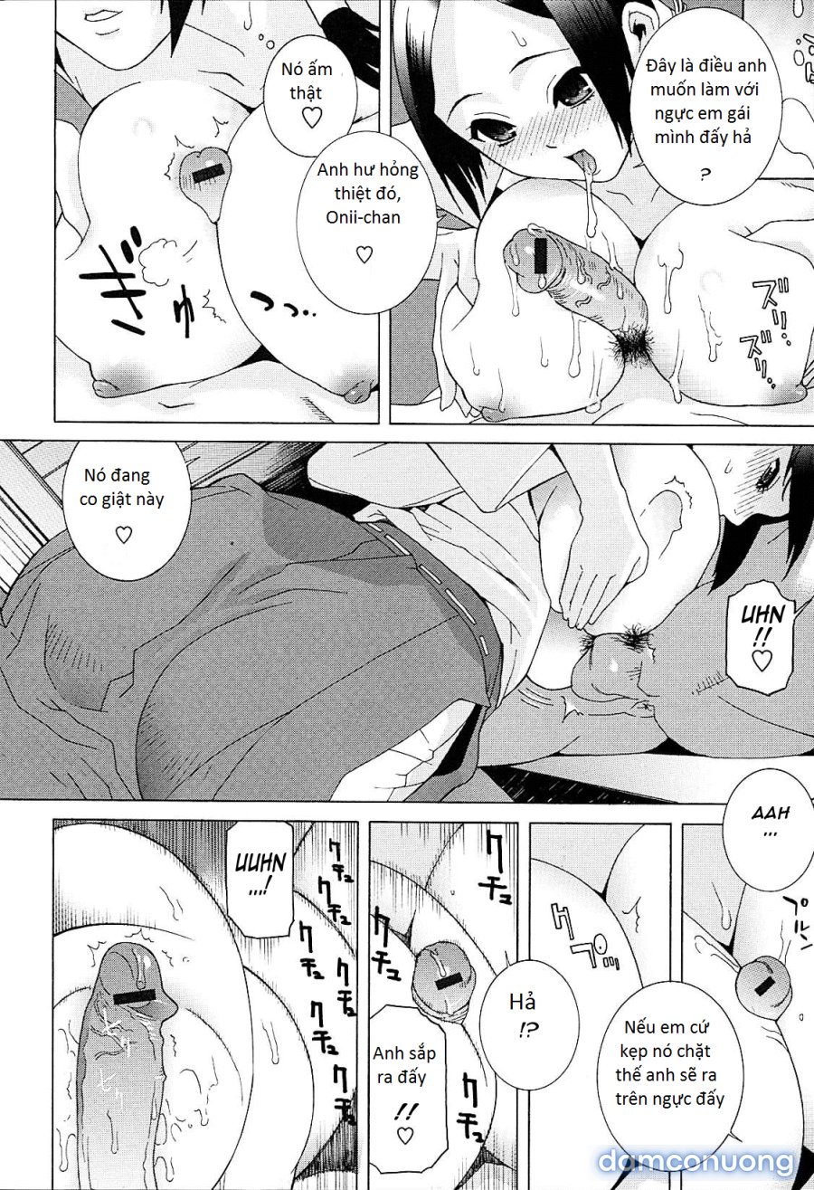 Imouto Netsuai Ryouiki 