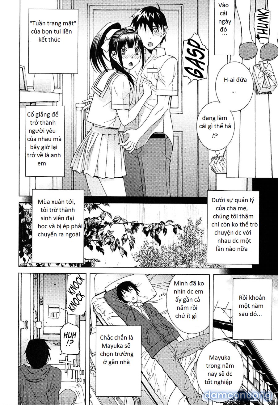 Imouto Netsuai Ryouiki 