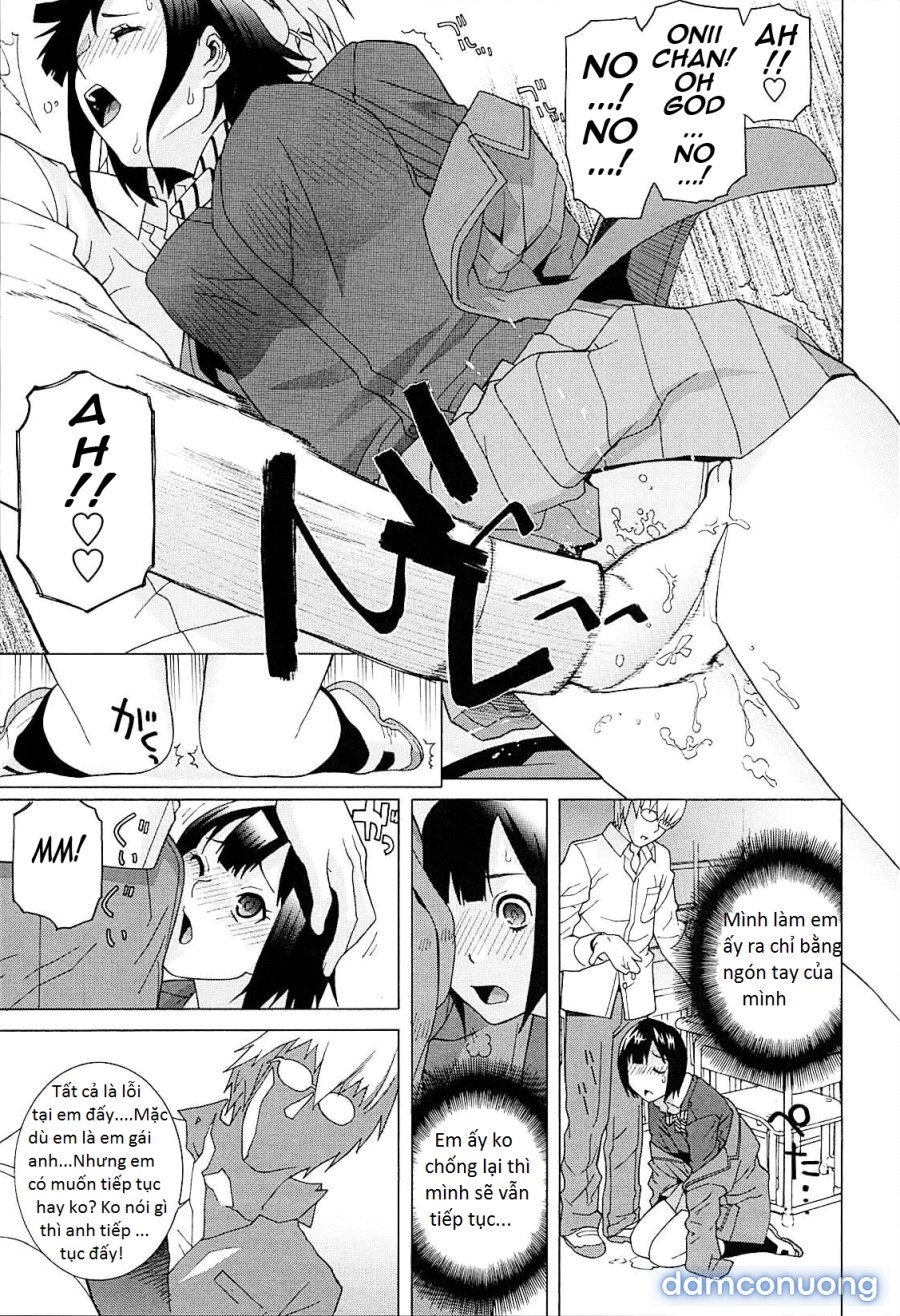 Imouto Netsuai Ryouiki 