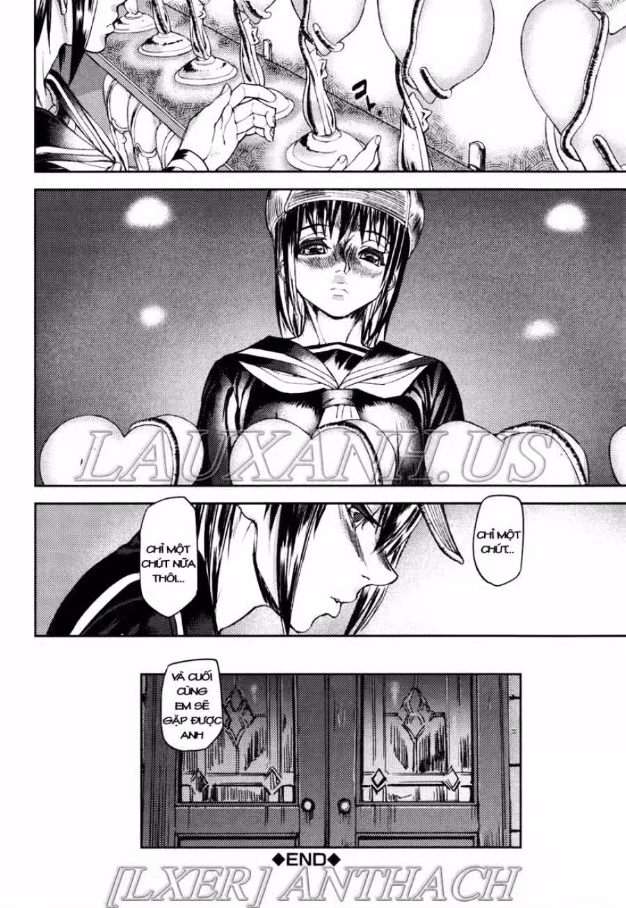 Illusion Girls 