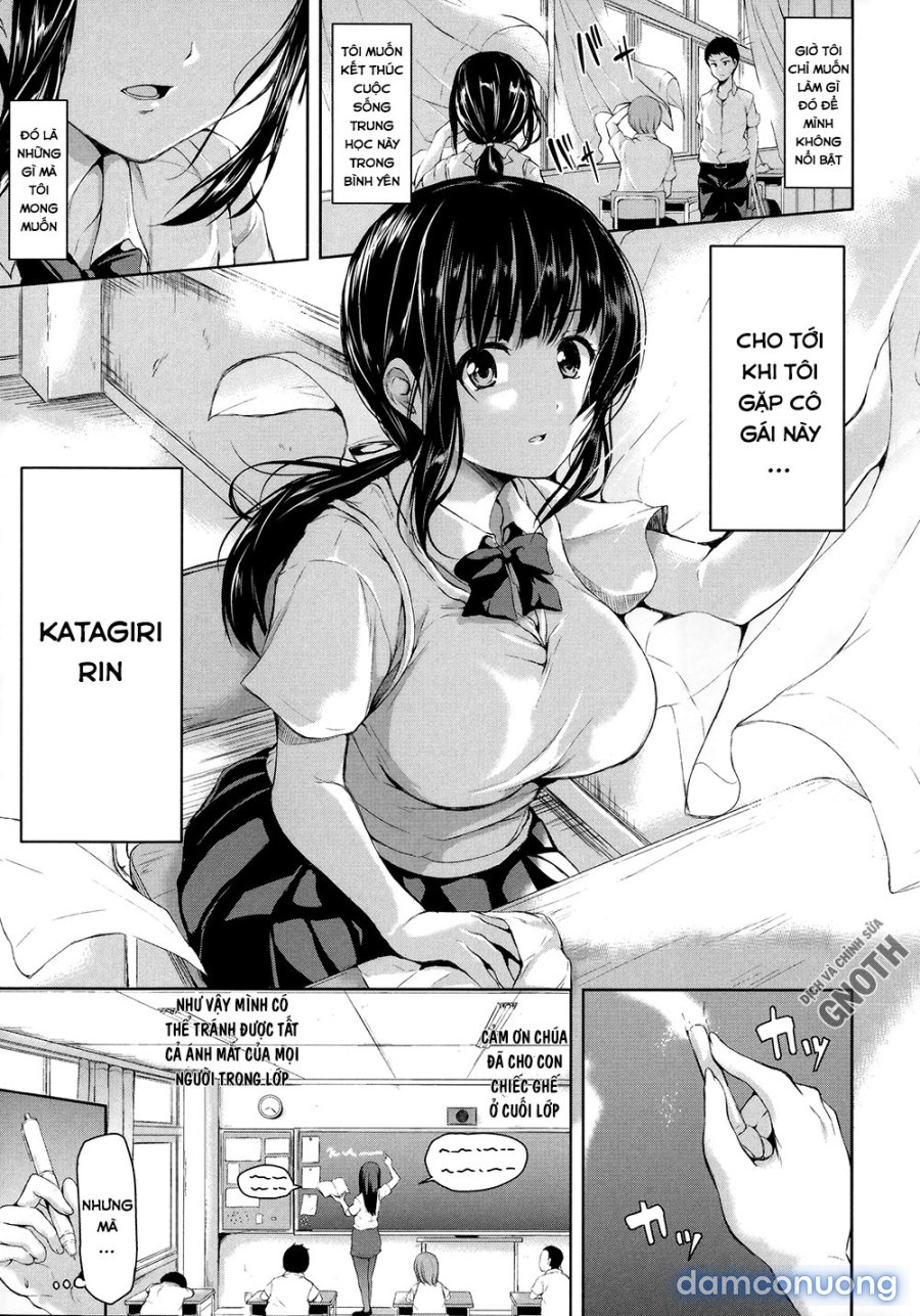 Ikinari! Harem Life 