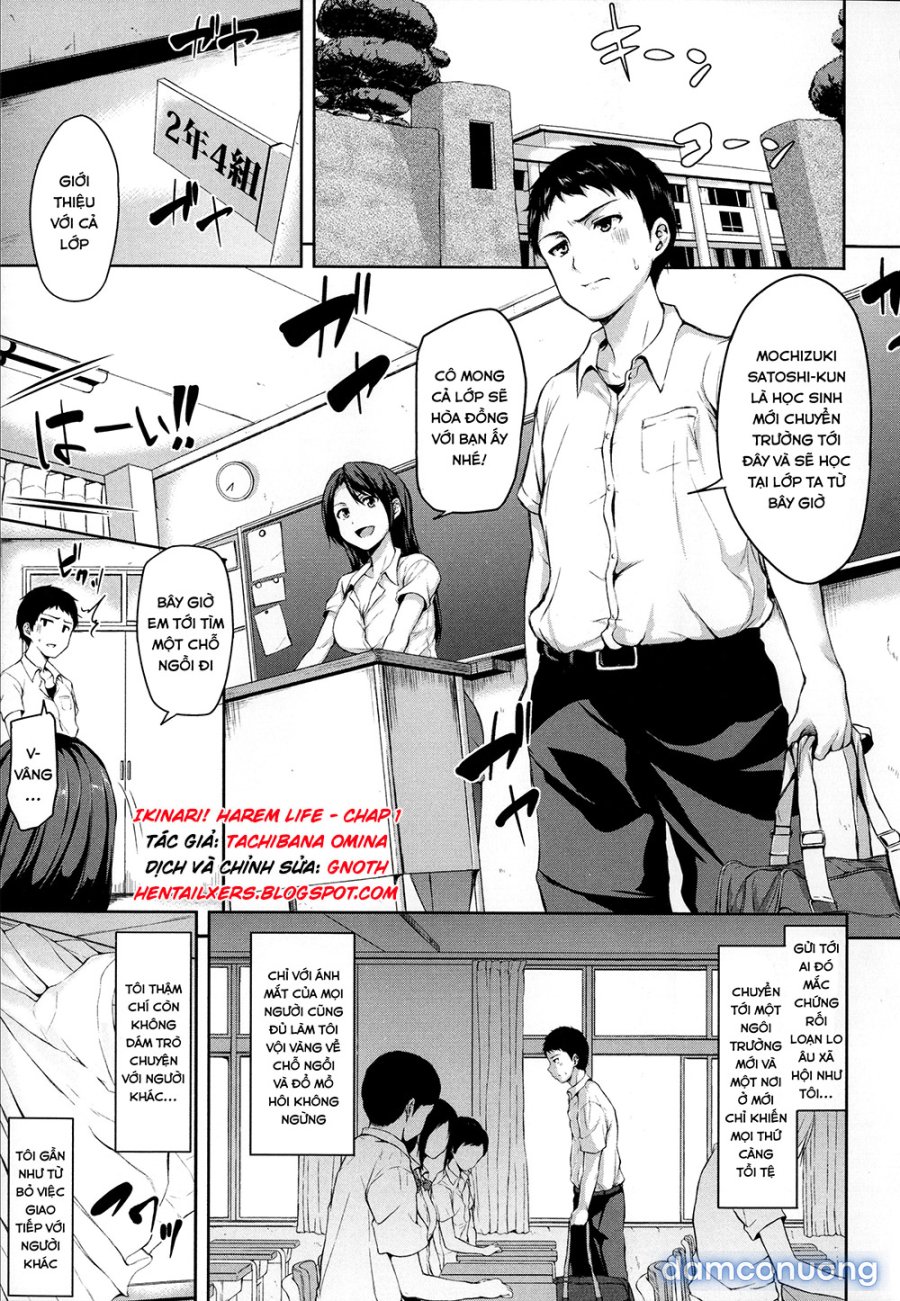 Ikinari! Harem Life 