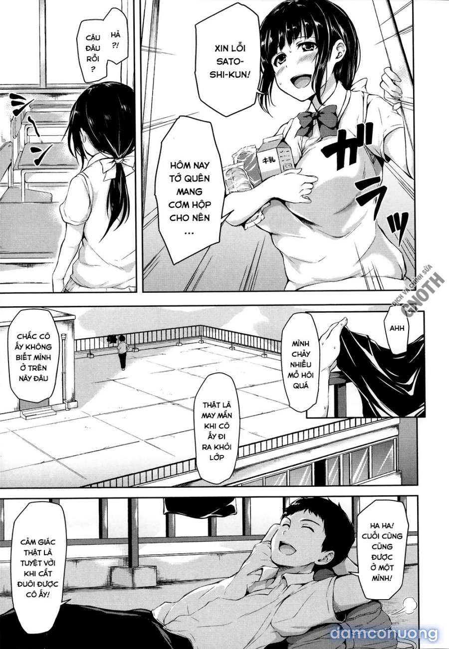 Ikinari! Harem Life 