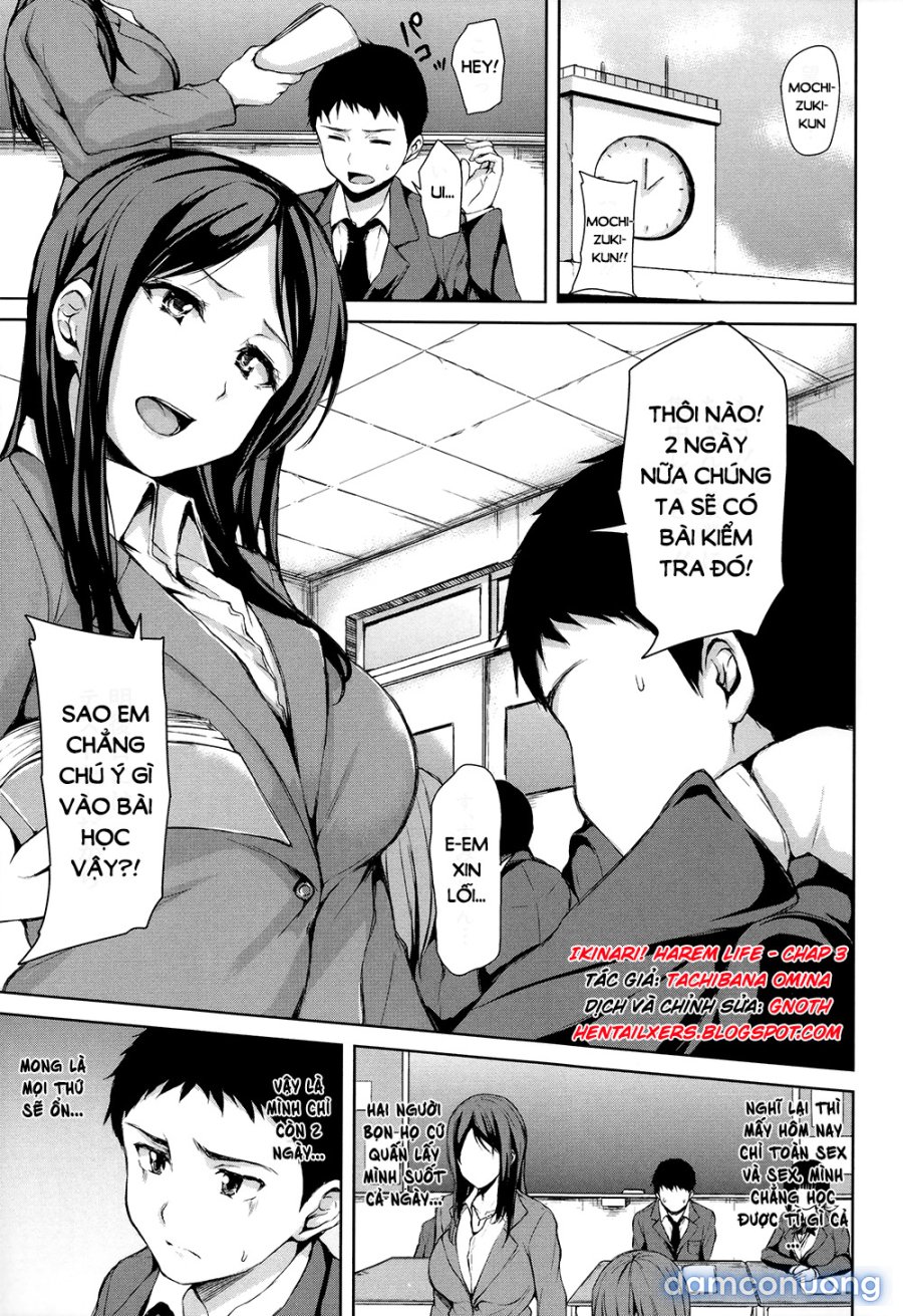 Ikinari! Harem Life 