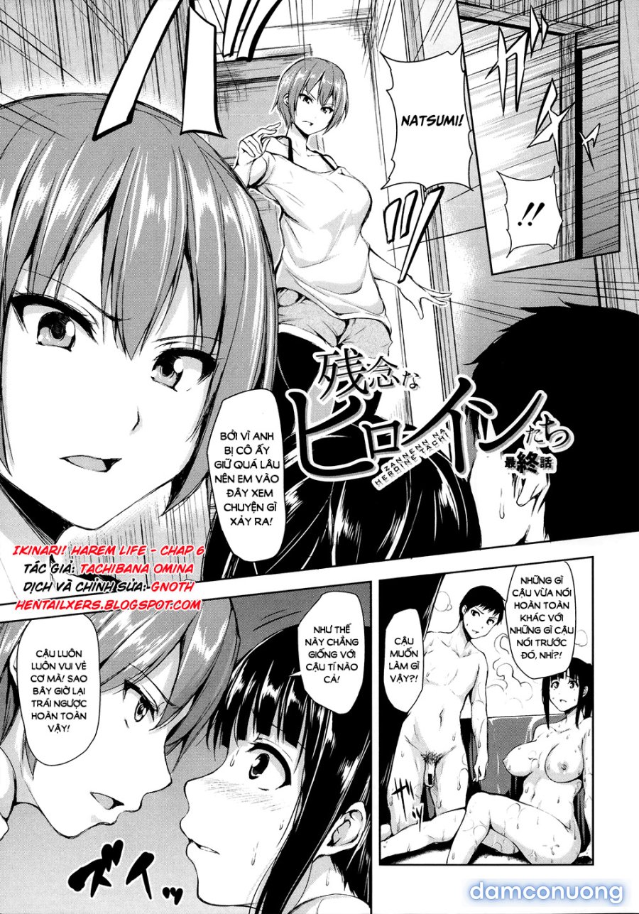 Ikinari! Harem Life 