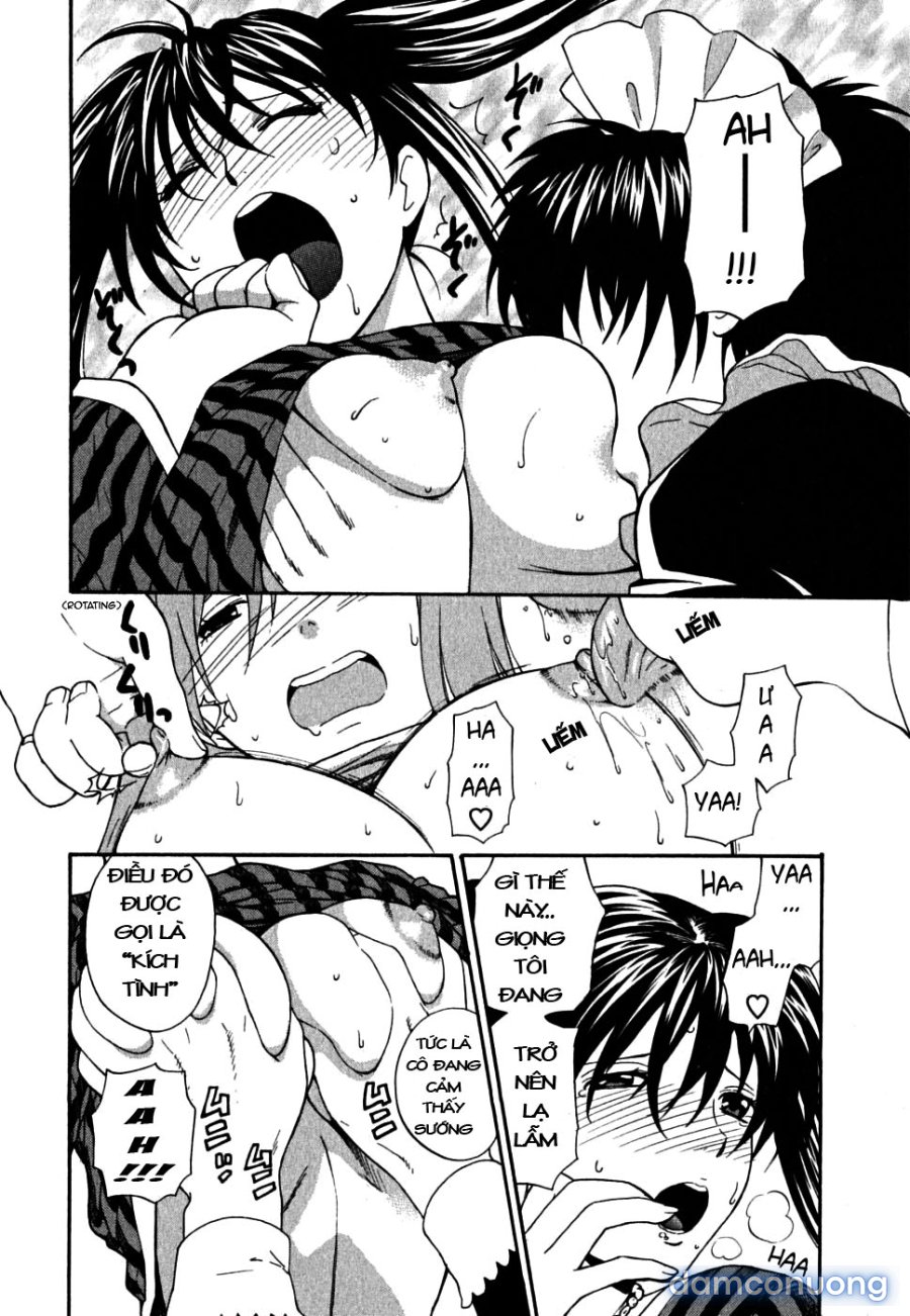 Ikemasen Ojyosama 
