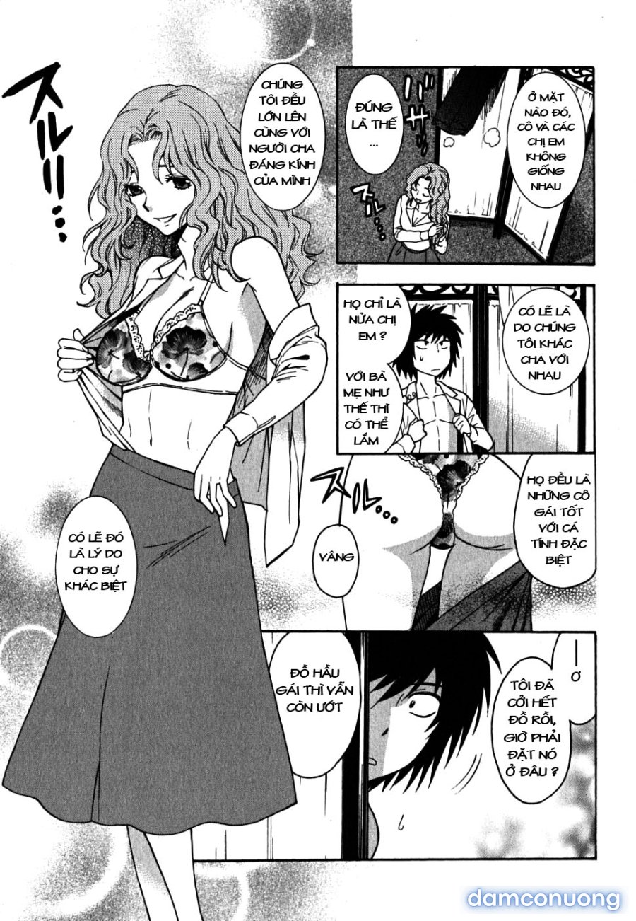 Ikemasen Ojyosama 