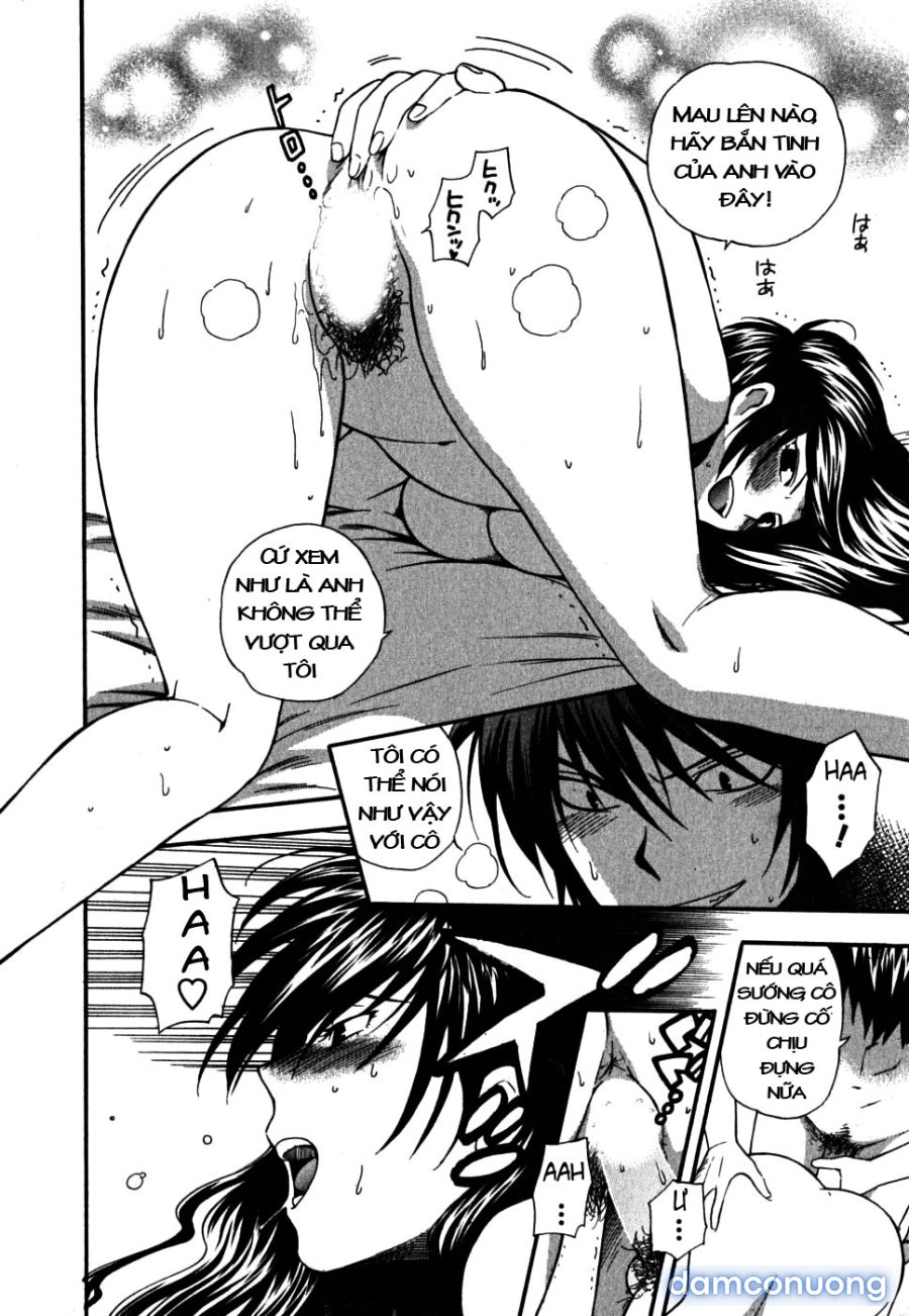 Ikemasen Ojyosama 