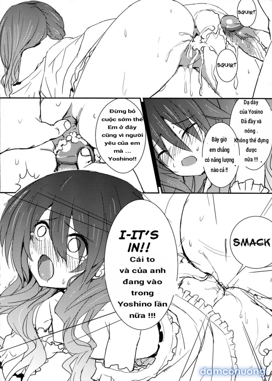 AiAi Daisakusen 