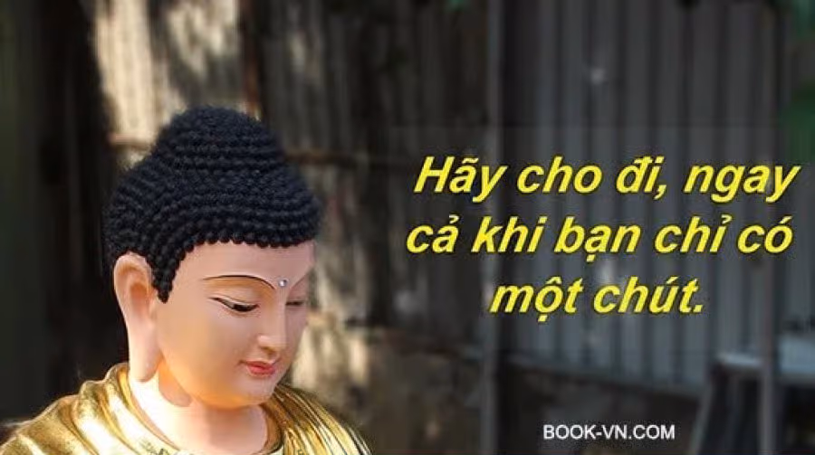 Chuyến đi du lịch đáng nhớ của cô vợ xinh đẹp cùng 44 bác già thân thiện 