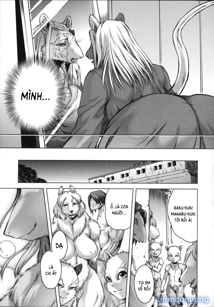 Human-lovers Committee 