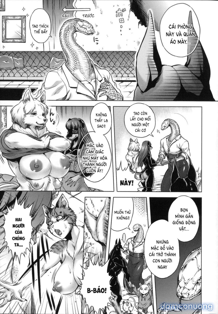Human-lovers Committee 