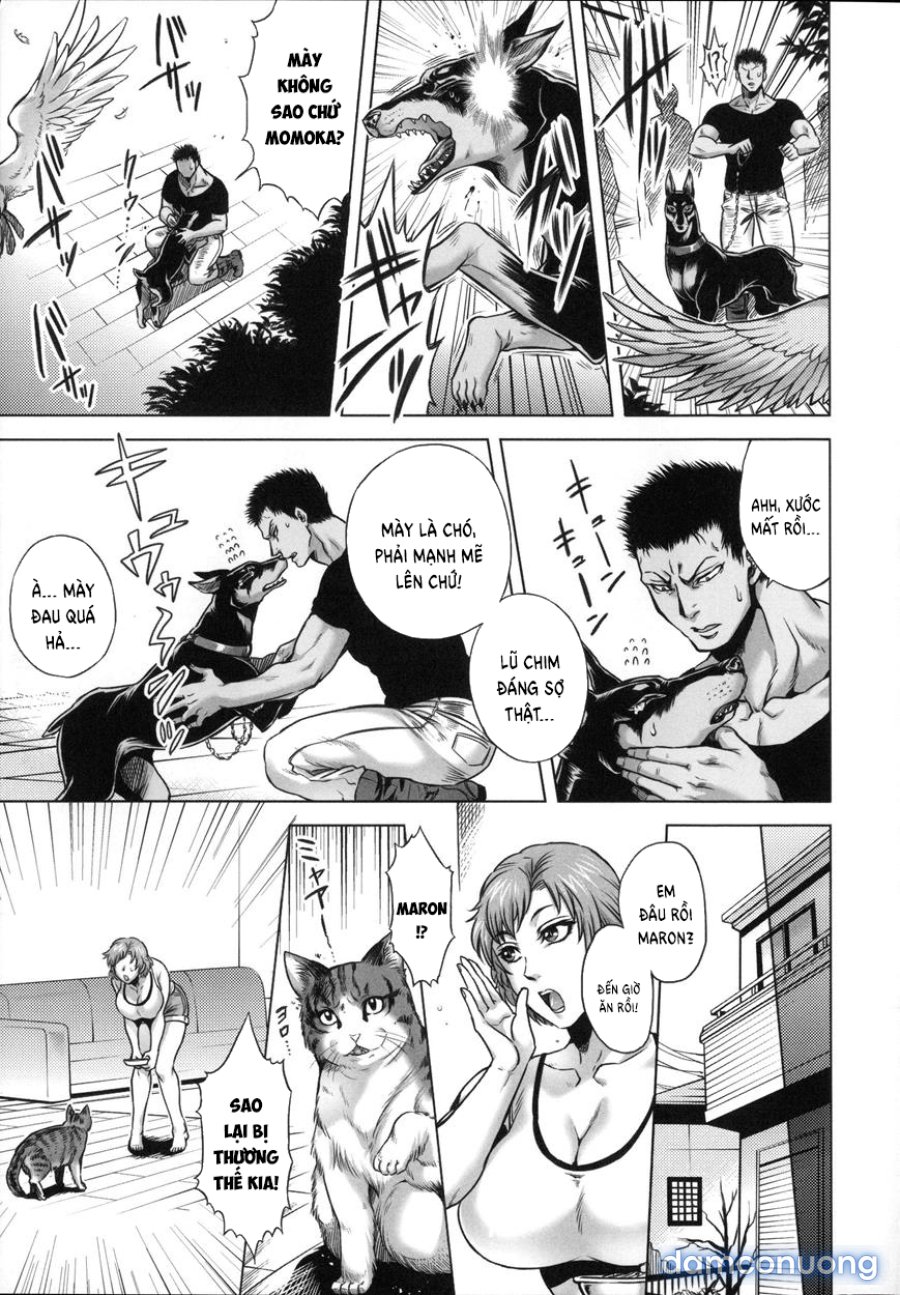Human-lovers Committee 