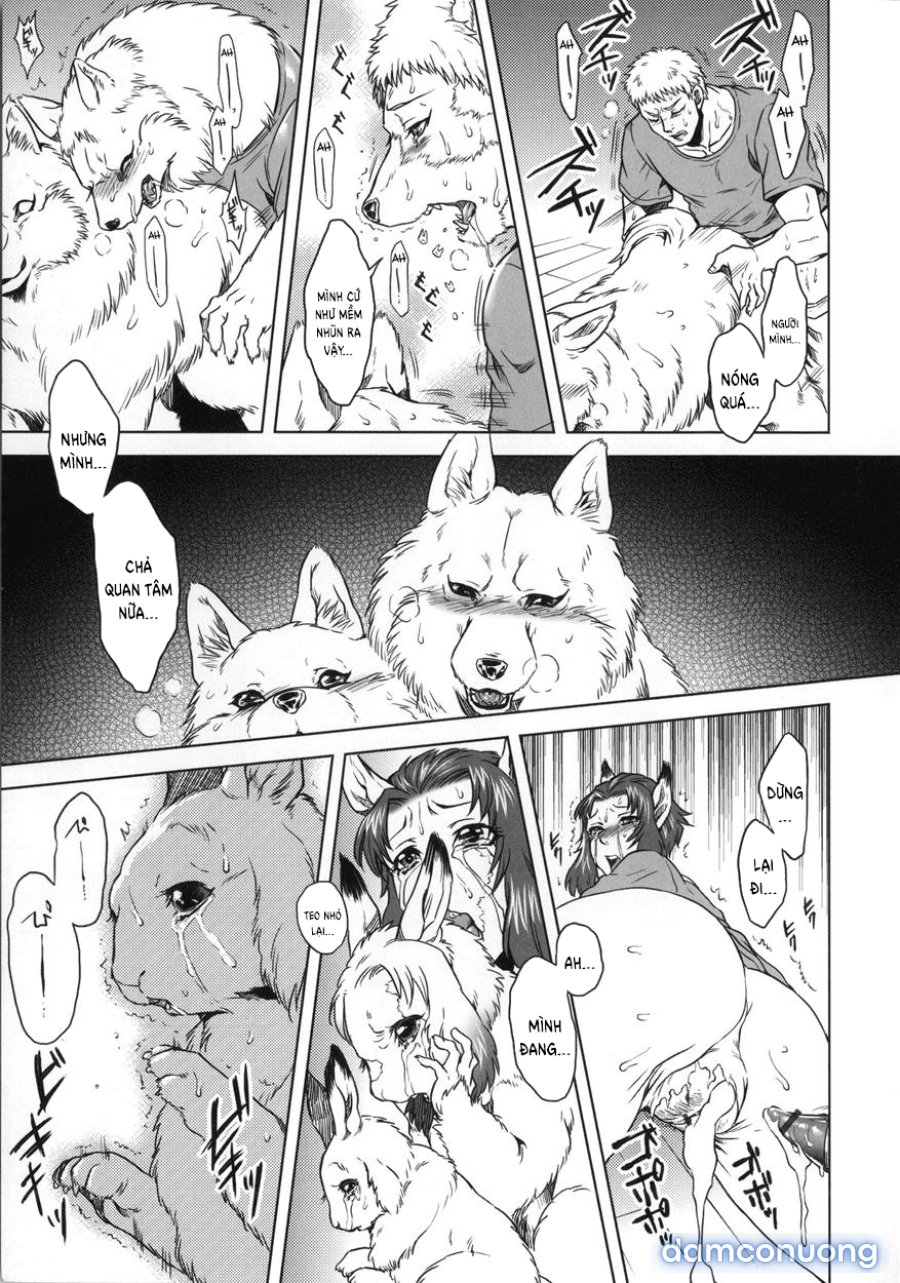 Human-lovers Committee 