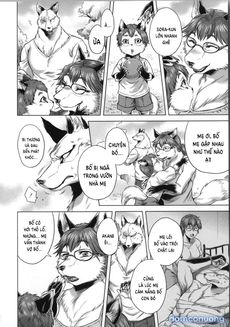 Human-lovers Committee 
