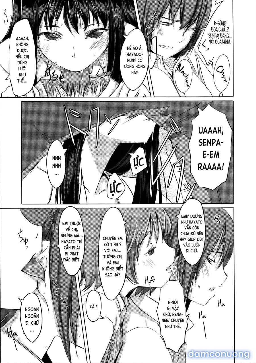Houkago TOY Friends 
