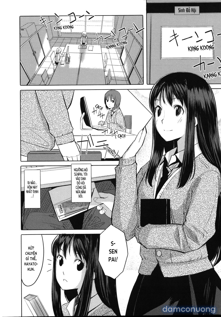 Houkago TOY Friends 