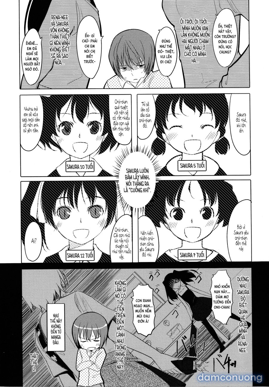 Houkago TOY Friends 