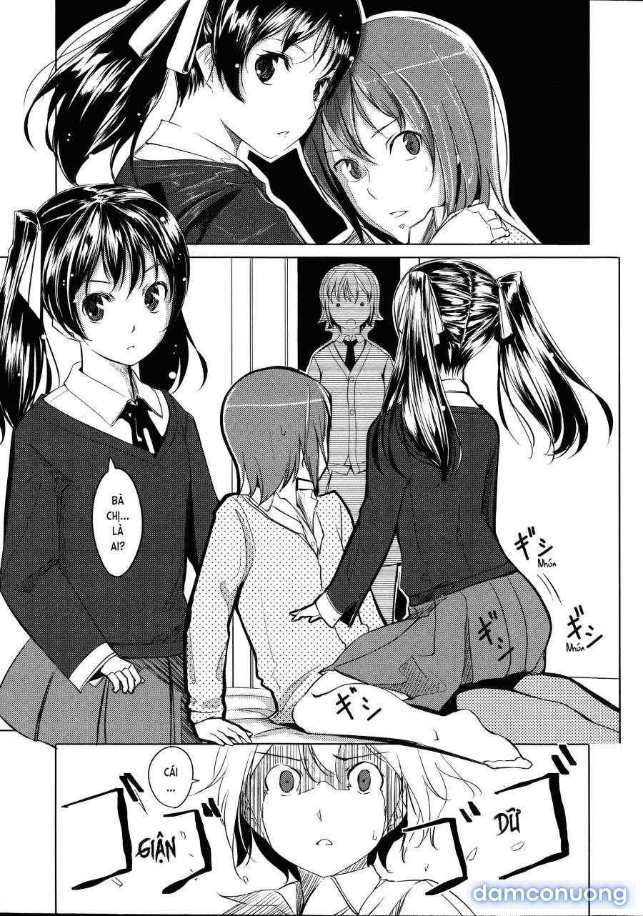 Houkago TOY Friends 