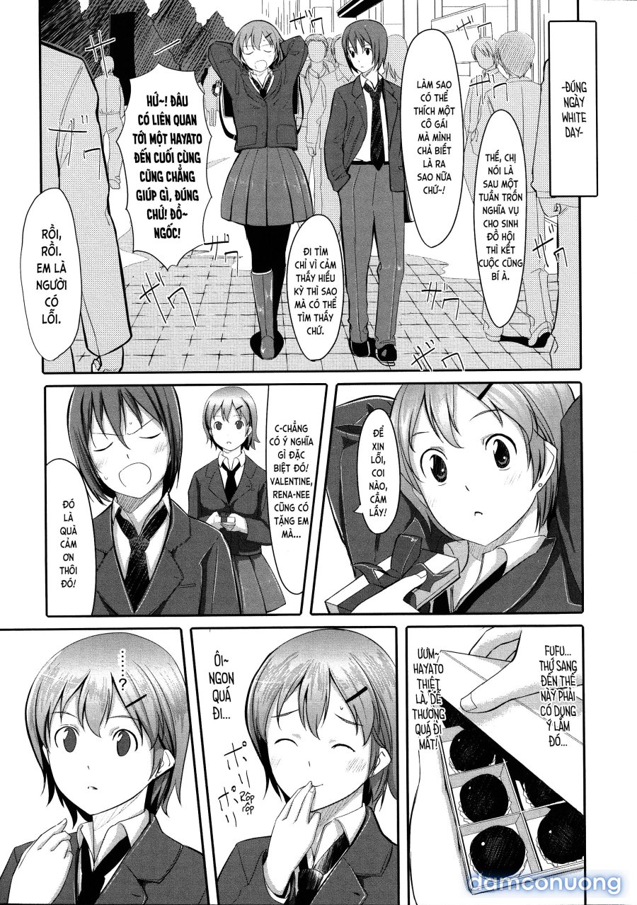 Houkago TOY Friends 