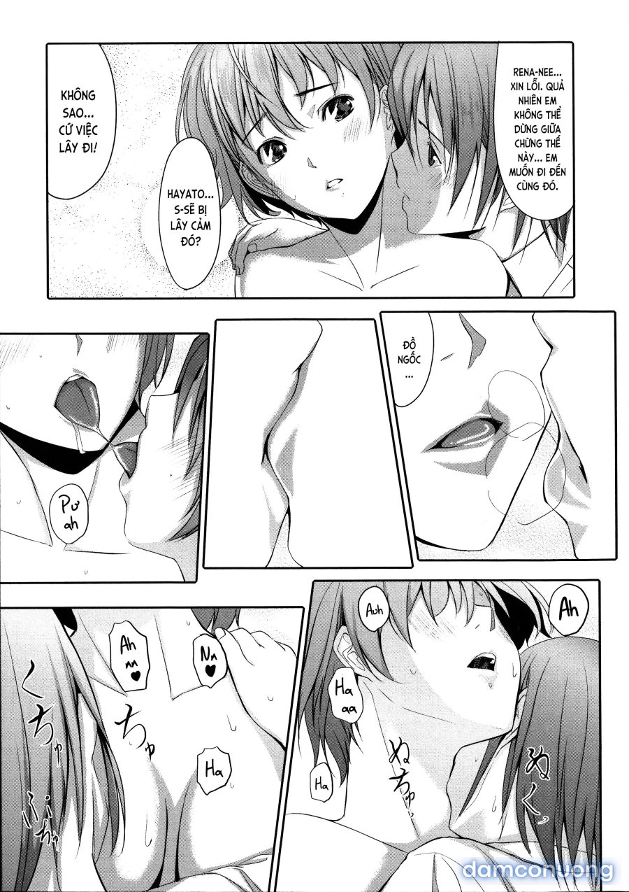 Houkago TOY Friends 