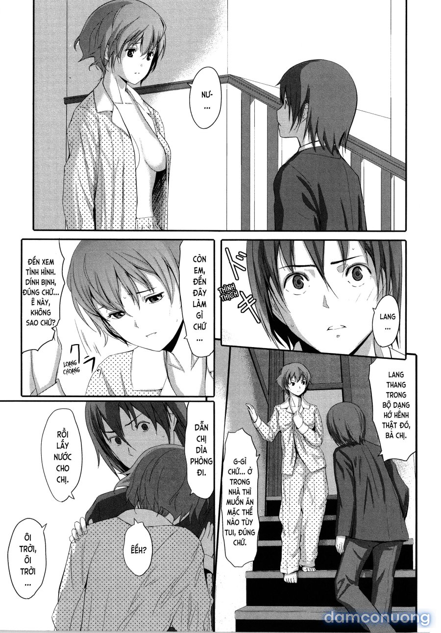 Houkago TOY Friends 