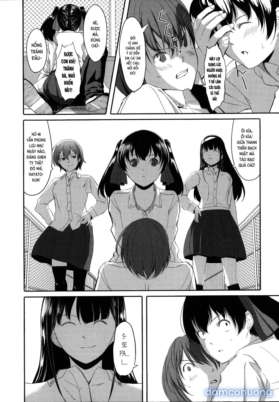 Houkago TOY Friends 
