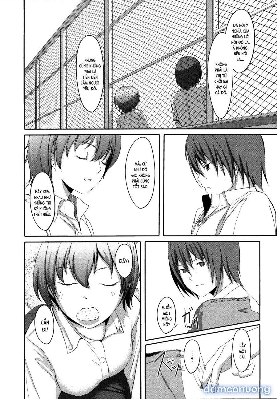 Houkago TOY Friends 